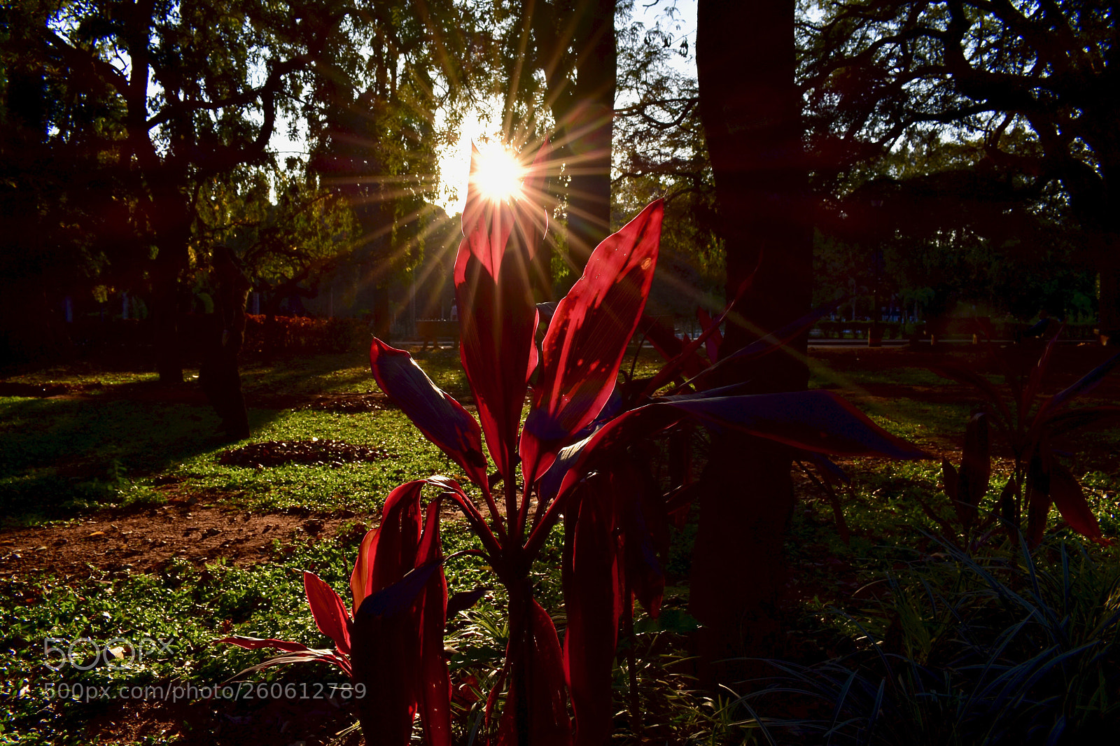 Nikon D3400 sample photo. Bouncing sunlight photography