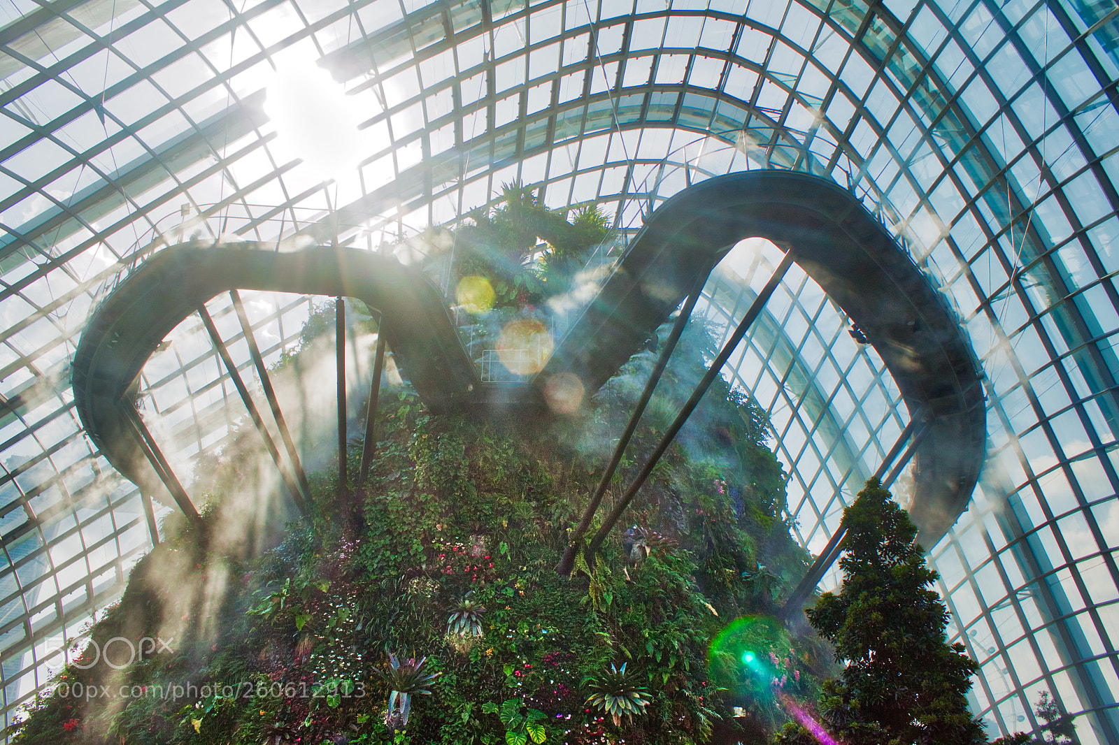 Canon EOS 500D (EOS Rebel T1i / EOS Kiss X3) sample photo. Cloud forest conservatory, singapore photography
