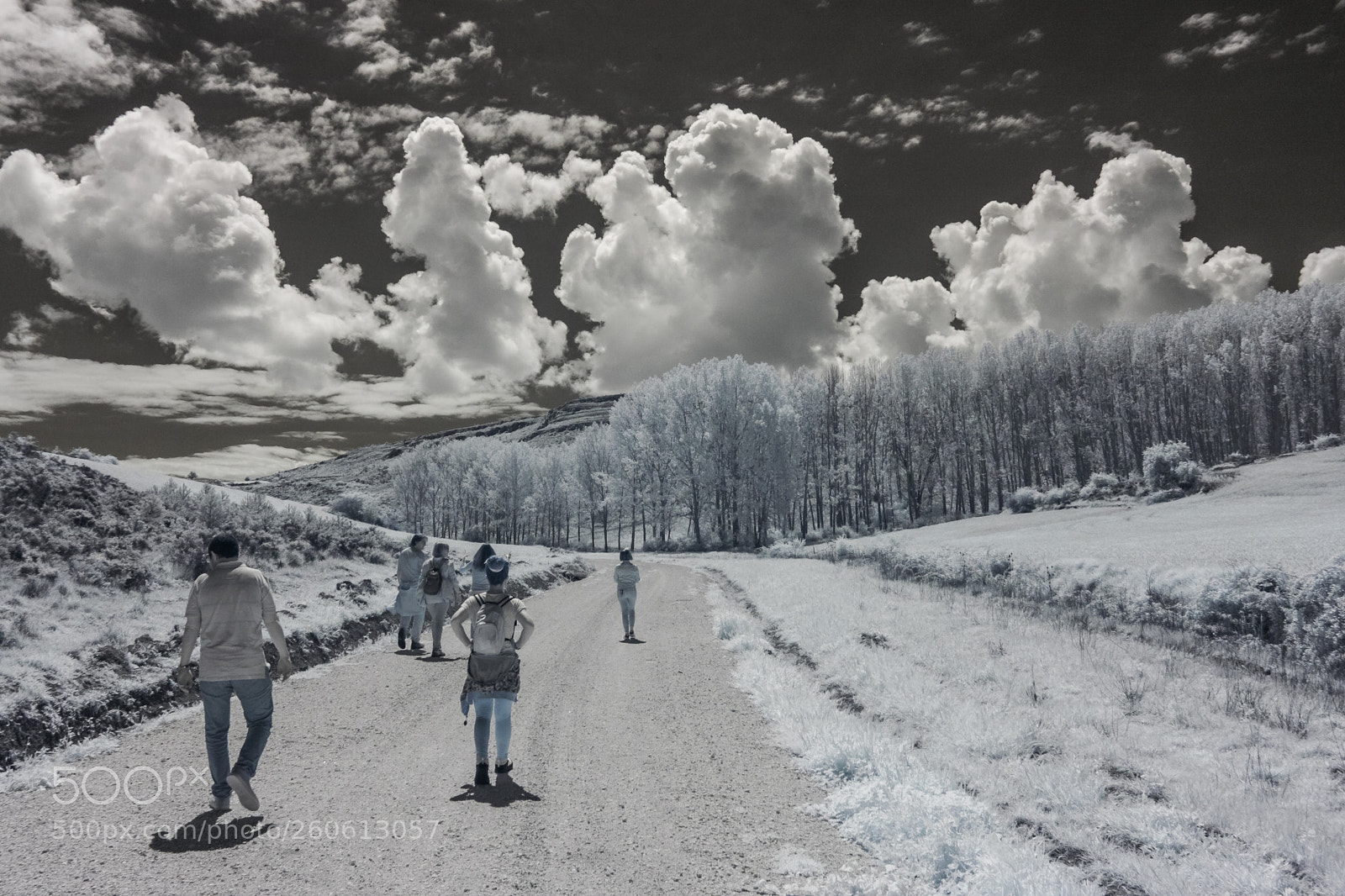 Canon EOS 40D sample photo. Hell pedestrians photography