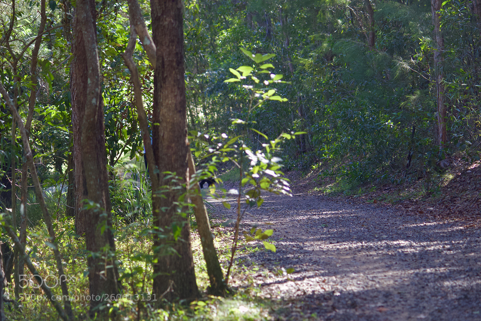 Canon EOS 700D (EOS Rebel T5i / EOS Kiss X7i) sample photo. Trials in to the photography