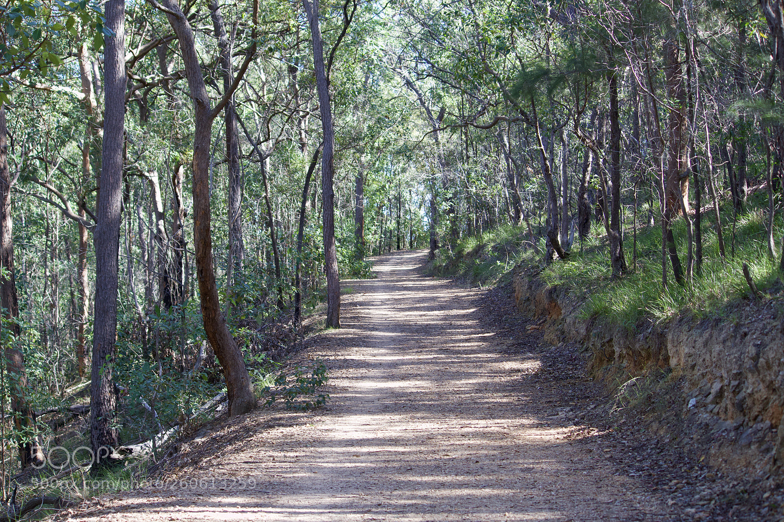 Canon EOS 700D (EOS Rebel T5i / EOS Kiss X7i) sample photo. Up the hill to photography