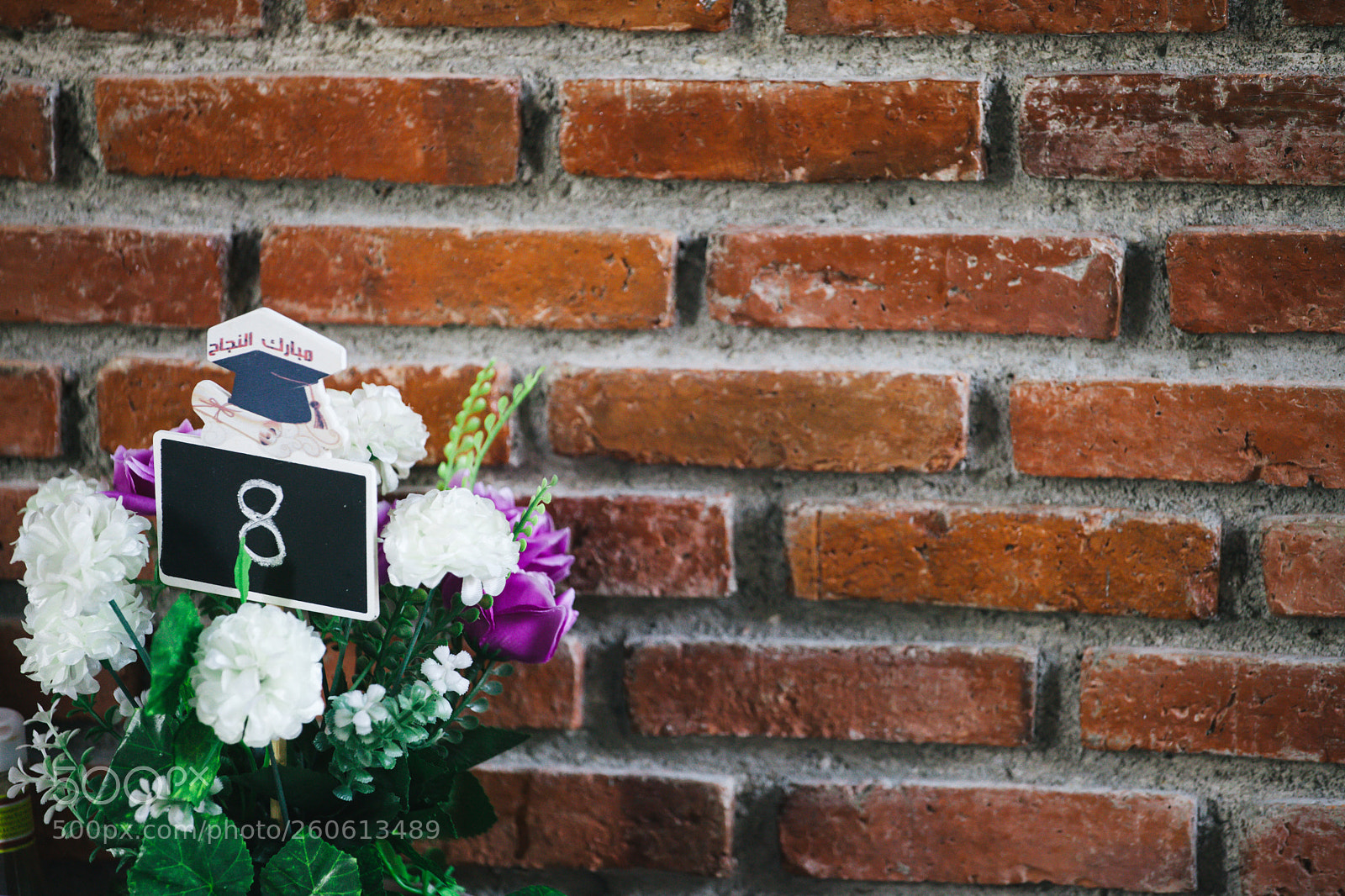 Canon EOS 5D Mark II sample photo. Number 8 and flowers photography