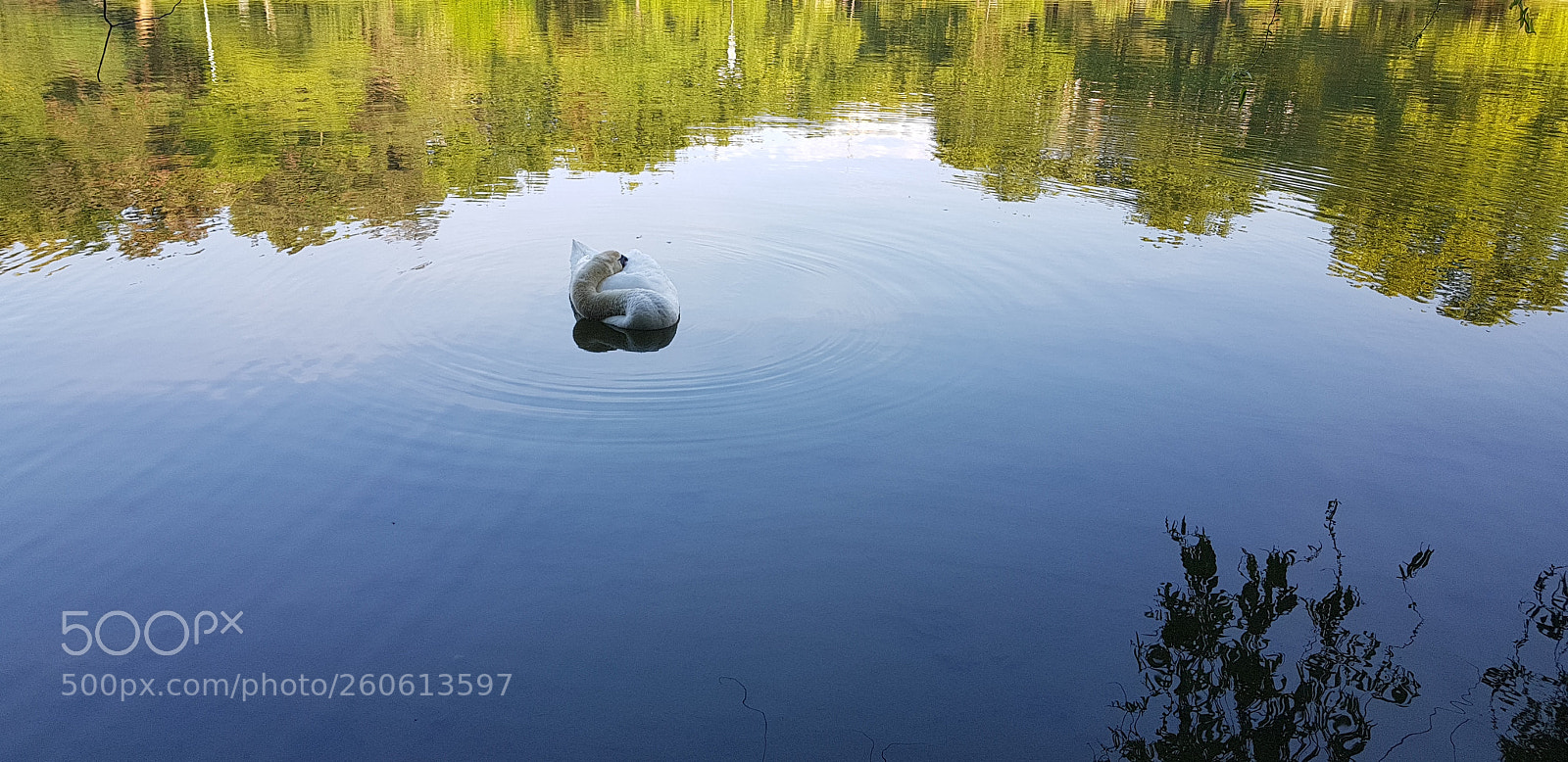 Samsung Galaxy S8 sample photo. Good morning photography