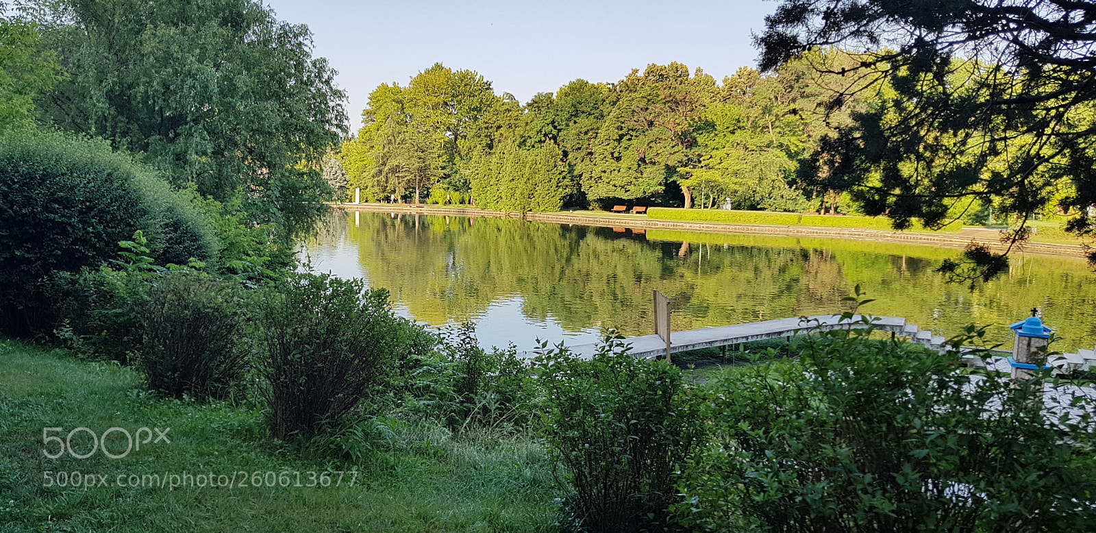 Samsung Galaxy S8 sample photo. Untitled photography