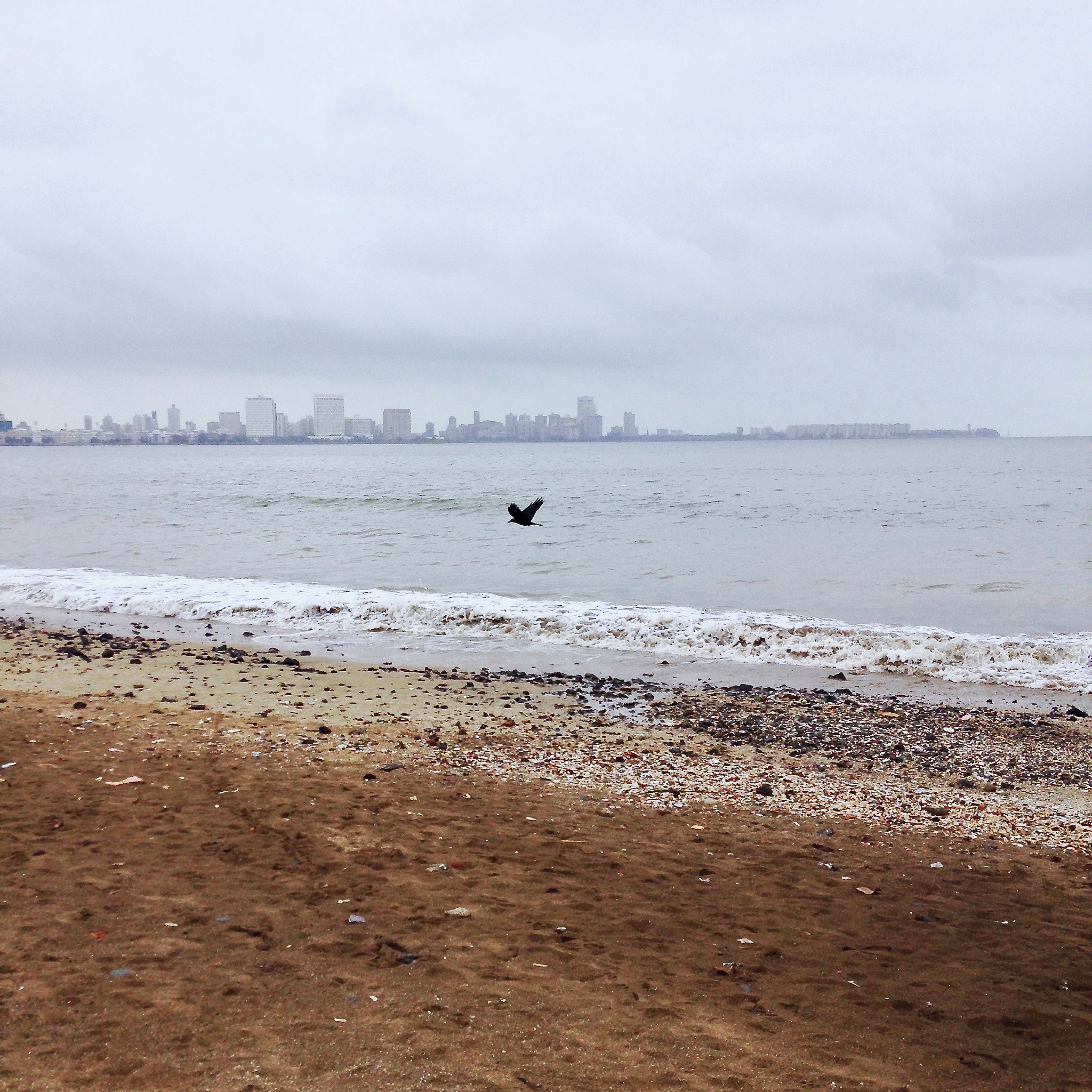 Apple iPhone 5c sample photo. The lone beach trooper photography