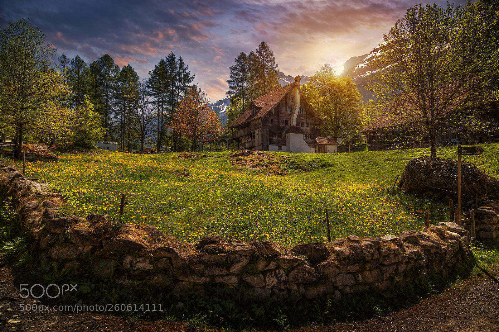 Canon EOS 5D Mark II sample photo. Ballenberg photography