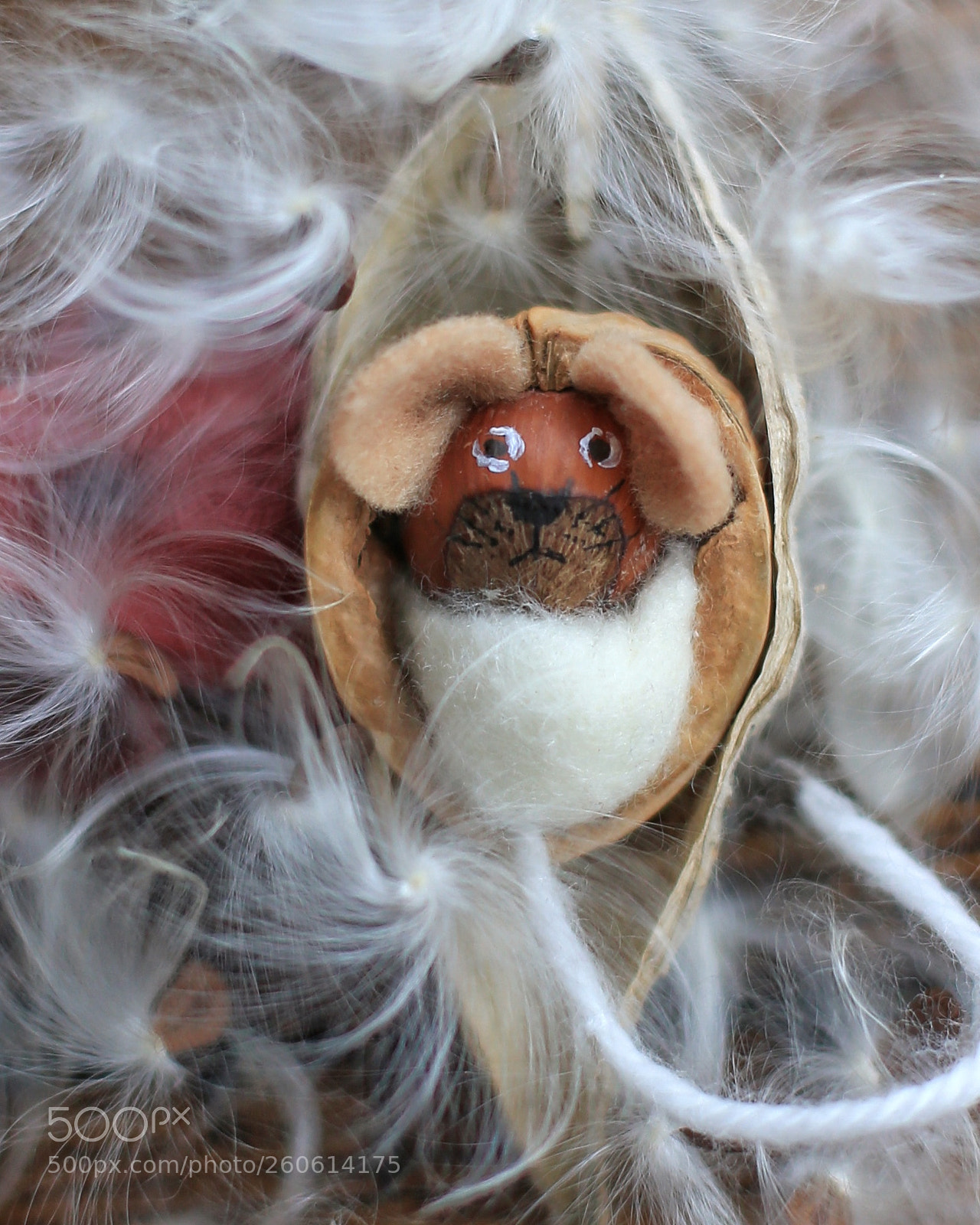 Canon EOS 6D sample photo. Baby squirrel photography