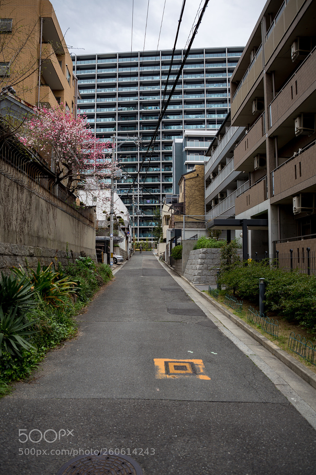 Canon EOS 6D sample photo. Osaka side street photography