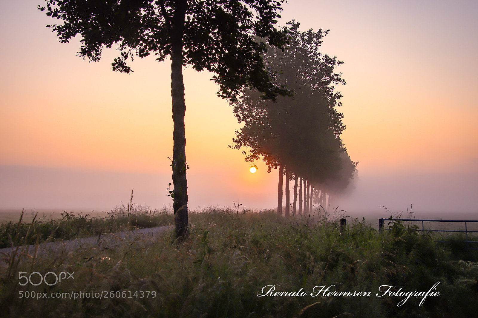 Canon EOS 77D (EOS 9000D / EOS 770D) sample photo. Sunrise meerkerk holland photography