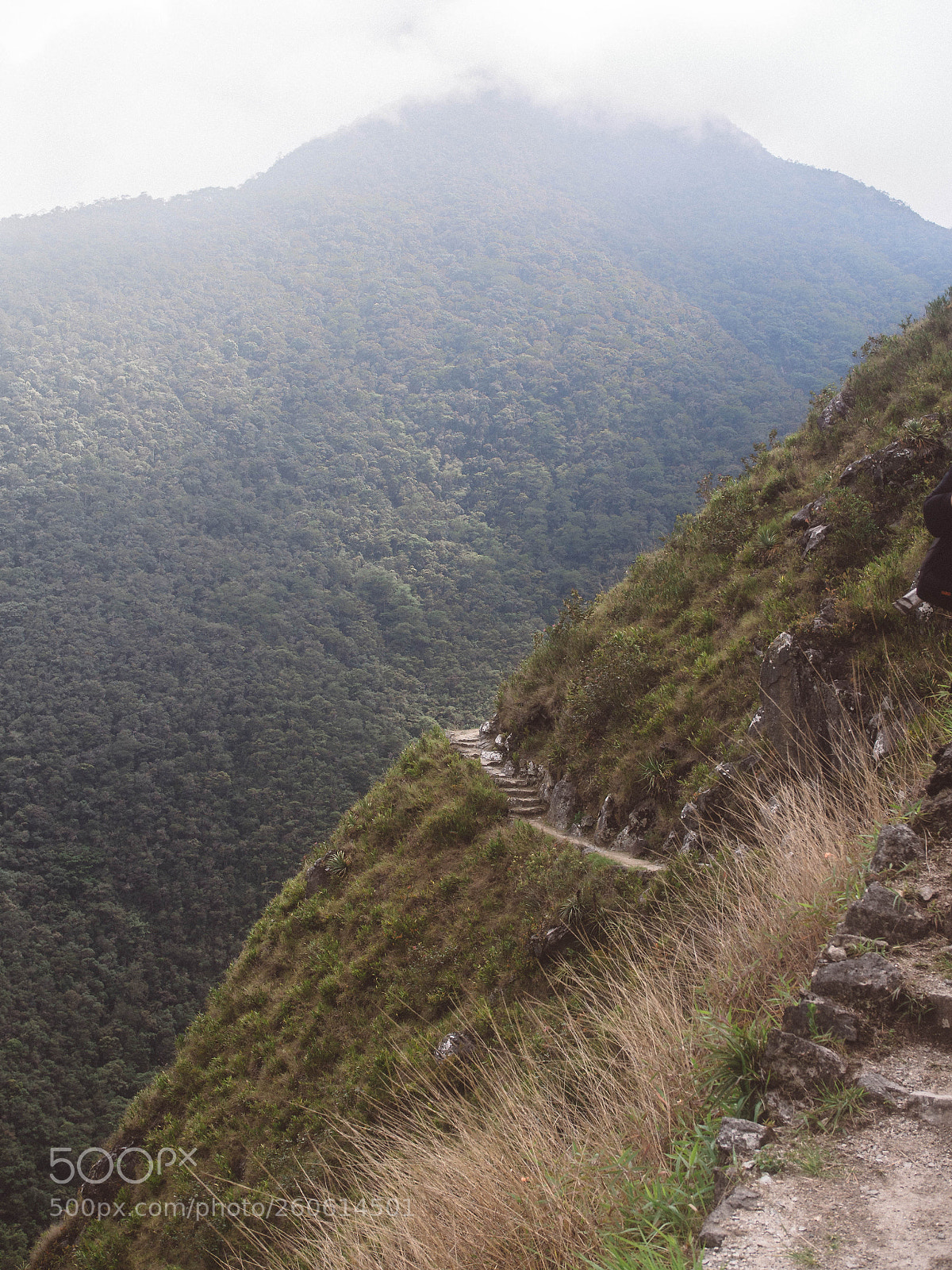 Olympus OM-D E-M10 sample photo. Inca trail photography