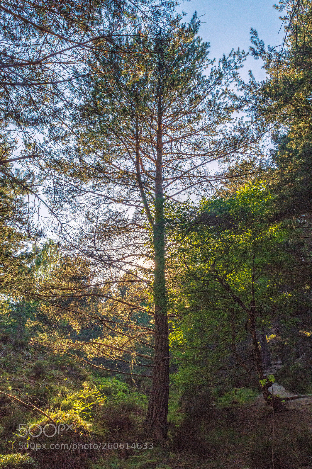 Nikon D3200 sample photo. Quickbeam photography