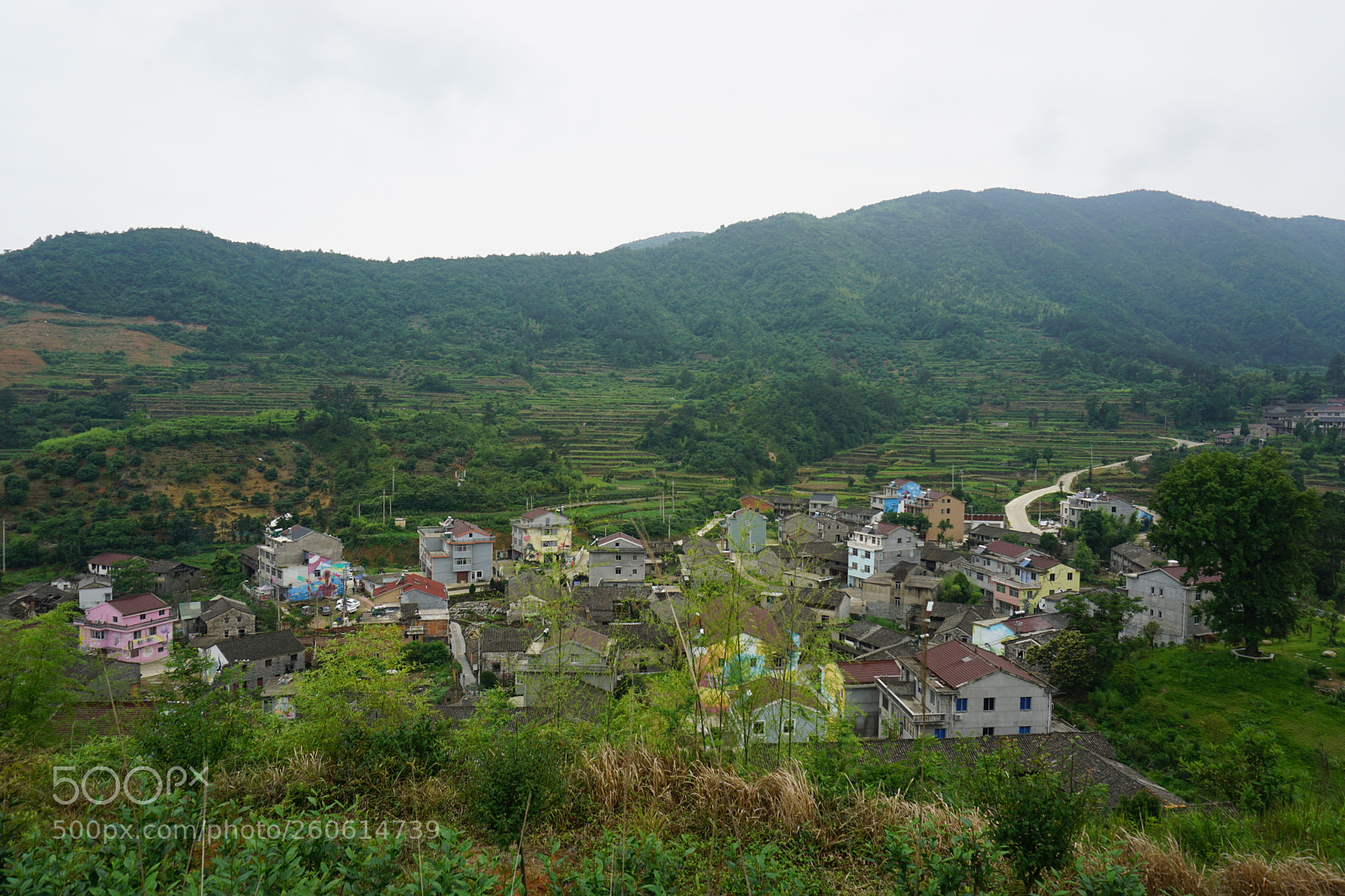 Sony a6000 sample photo. 中式美丽乡村 photography