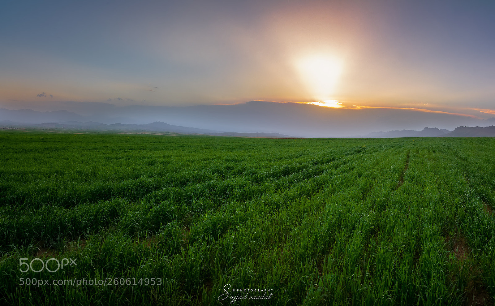 Nikon D7100 sample photo. Sunset photography
