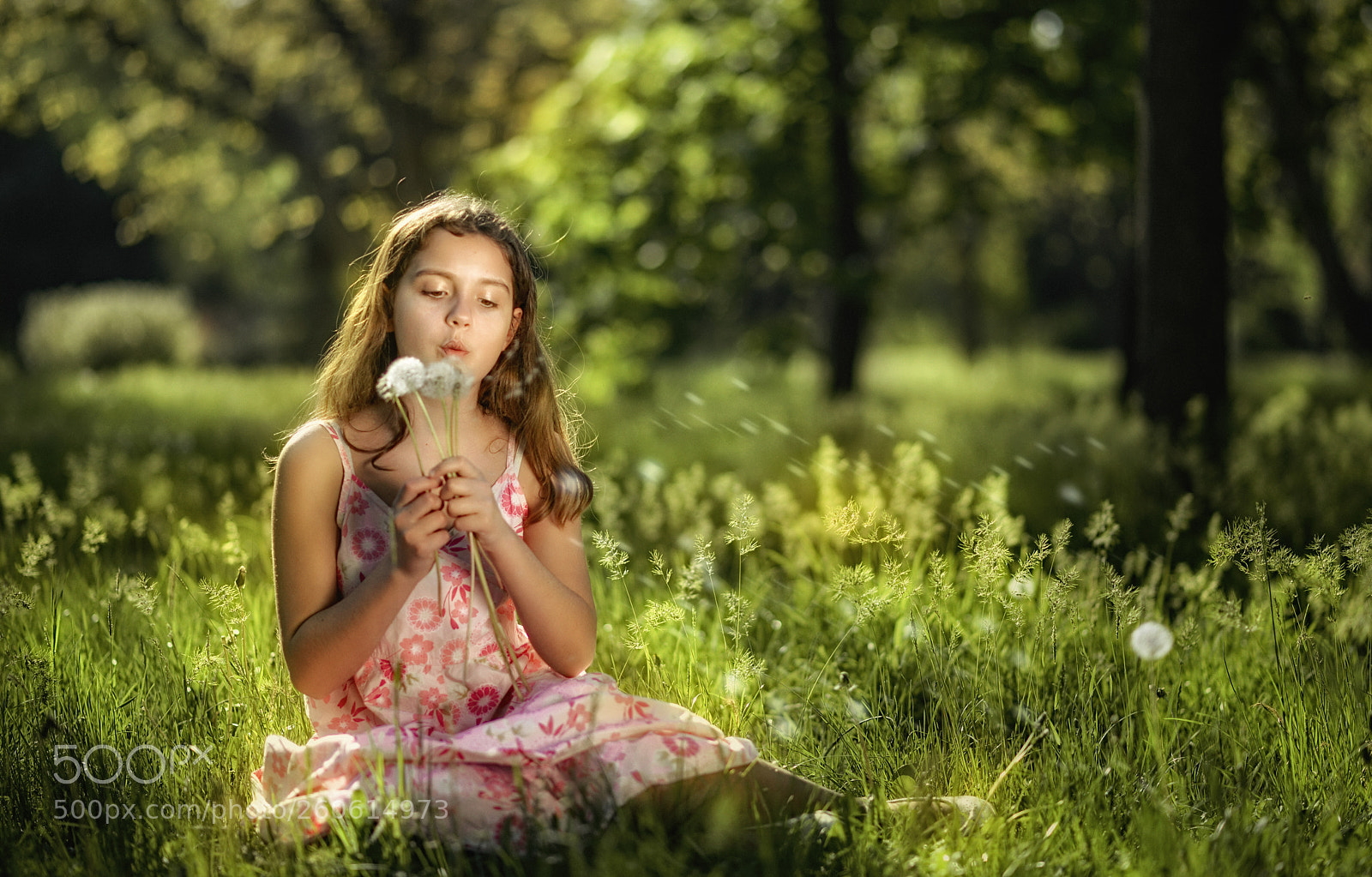 Nikon D610 sample photo. Dandelions photography
