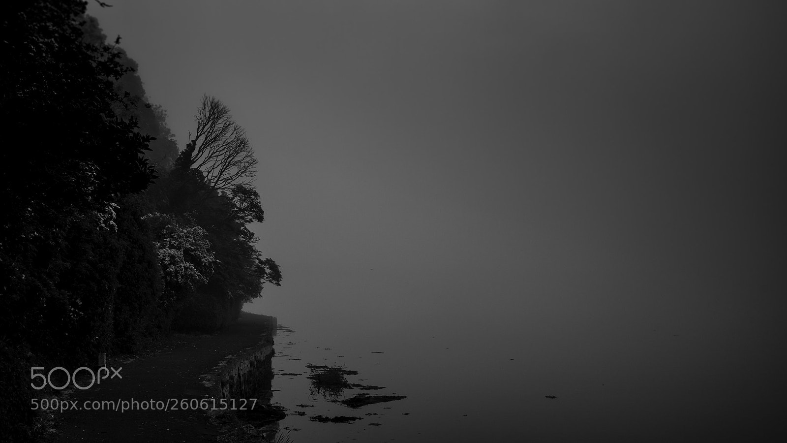 Canon EOS 5D Mark II sample photo. Fog on the tweed photography
