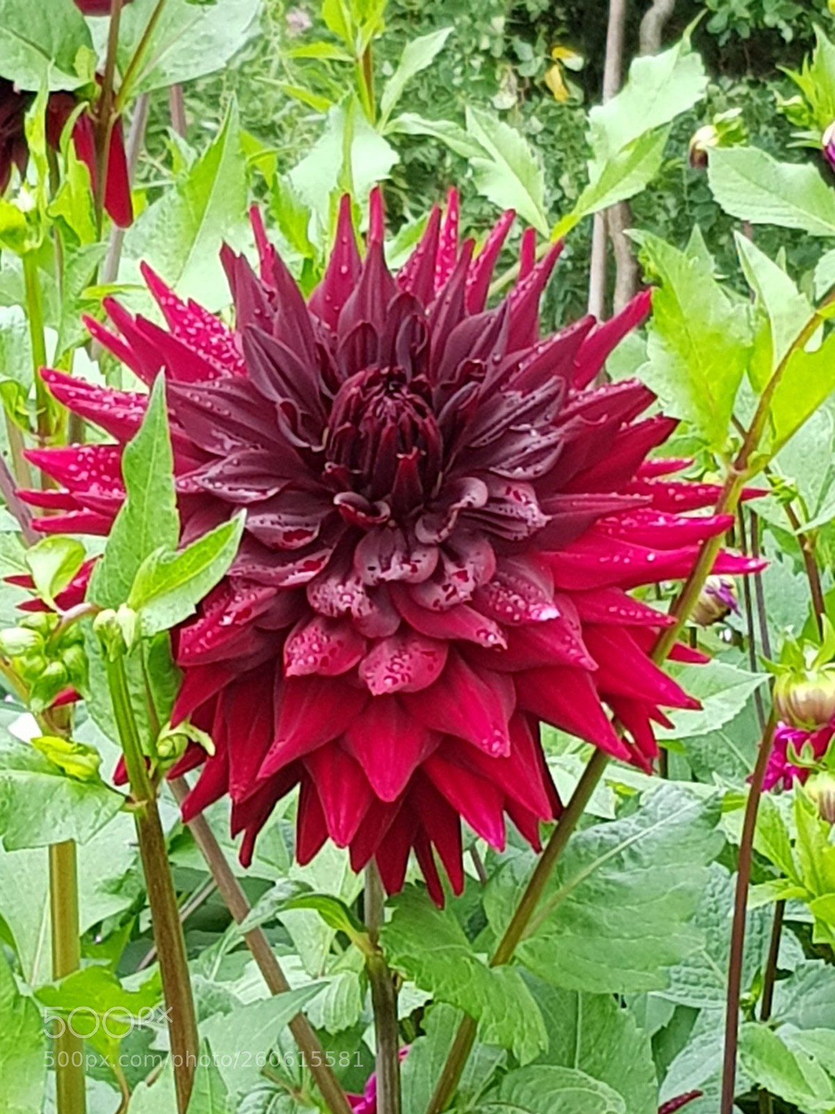 Samsung Galaxy S8 sample photo. Untitled photography