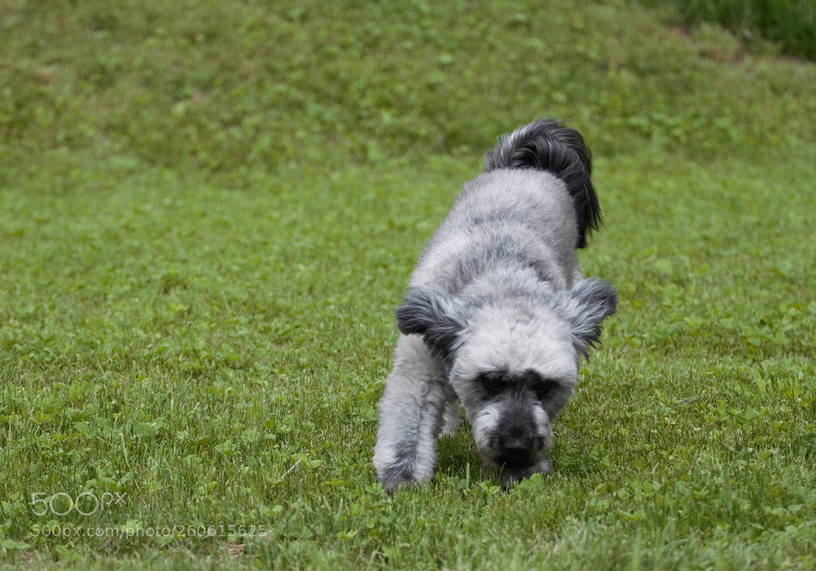 Canon EOS 70D sample photo. B photography