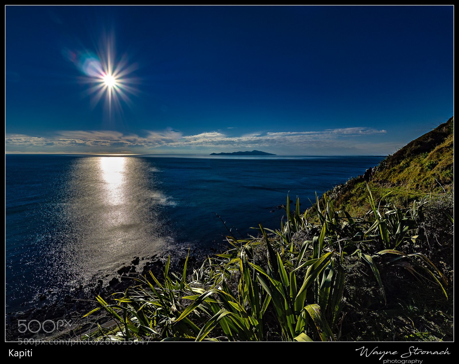 Olympus OM-D E-M10 II sample photo. Kapiti island from walkway photography