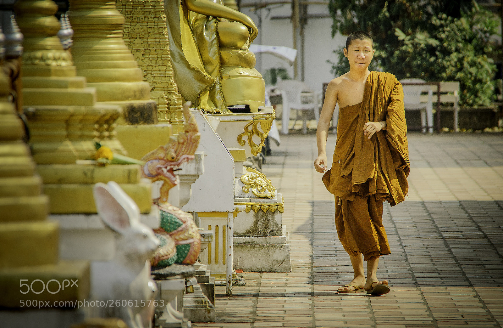 Nikon D5100 sample photo. Bnm mmm photography