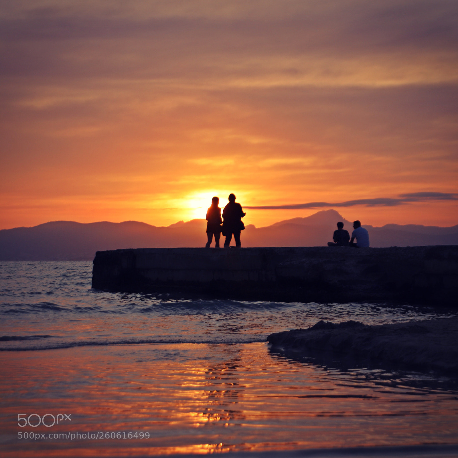Canon EOS 6D Mark II sample photo. Untitled photography