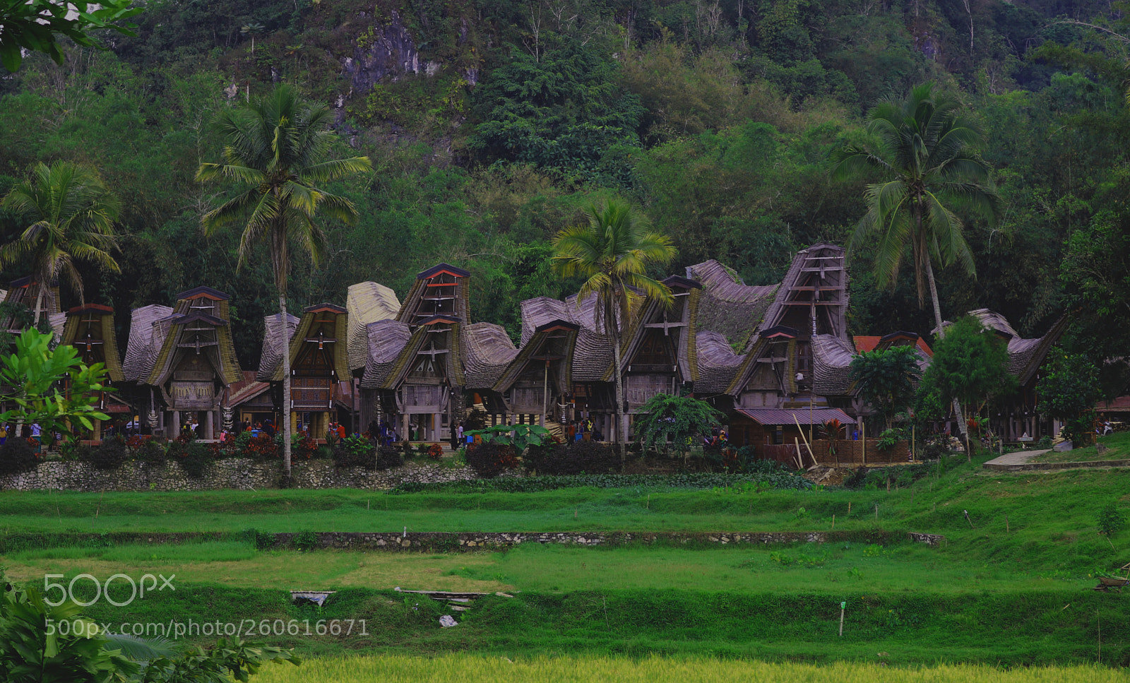Canon EOS 750D (EOS Rebel T6i / EOS Kiss X8i) sample photo. Toraja nature tourism photography