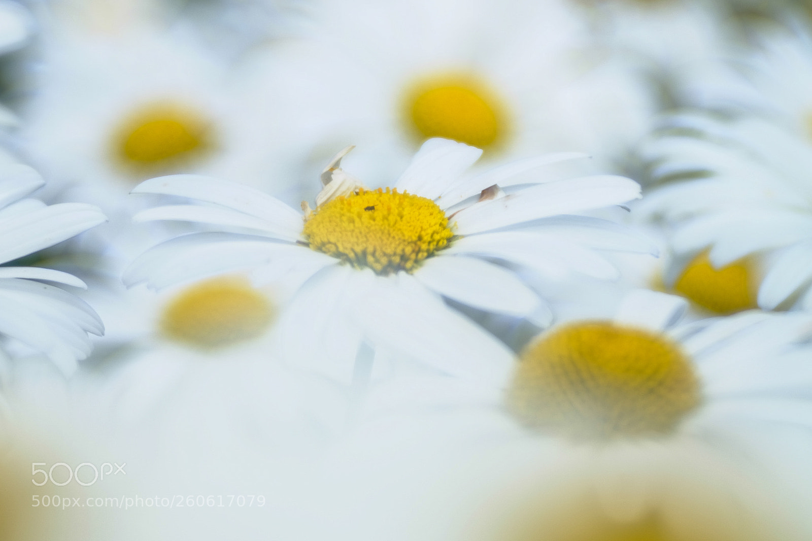 Fujifilm X-T1 sample photo. Mit meyer g rlitz photography