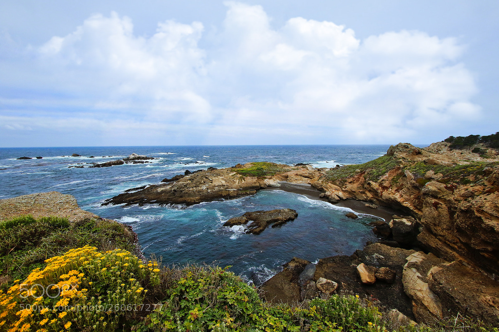 Canon EOS 7D Mark II sample photo. Point lobos photography