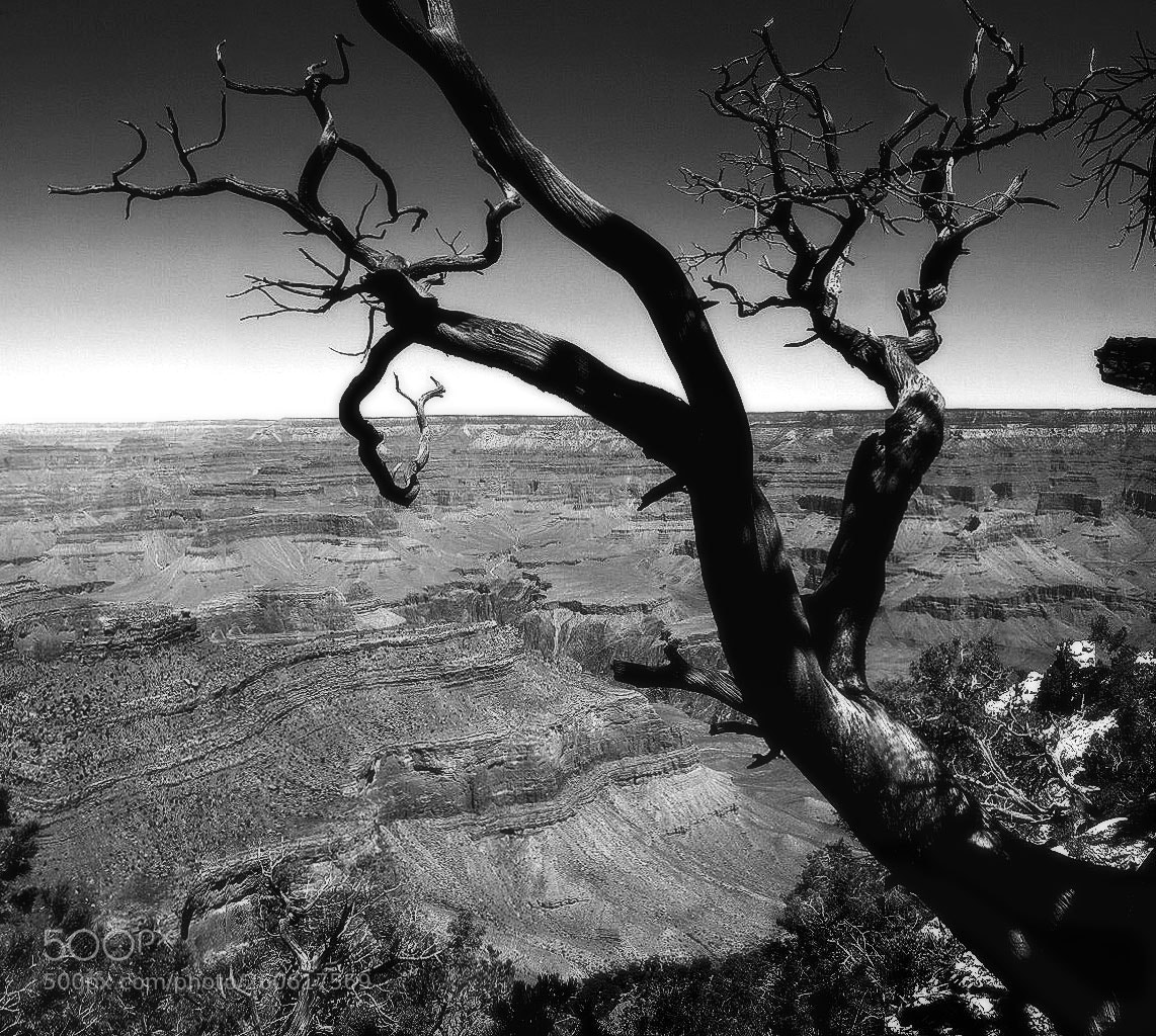 Sony ILCA-77M2 sample photo. Earth story photography