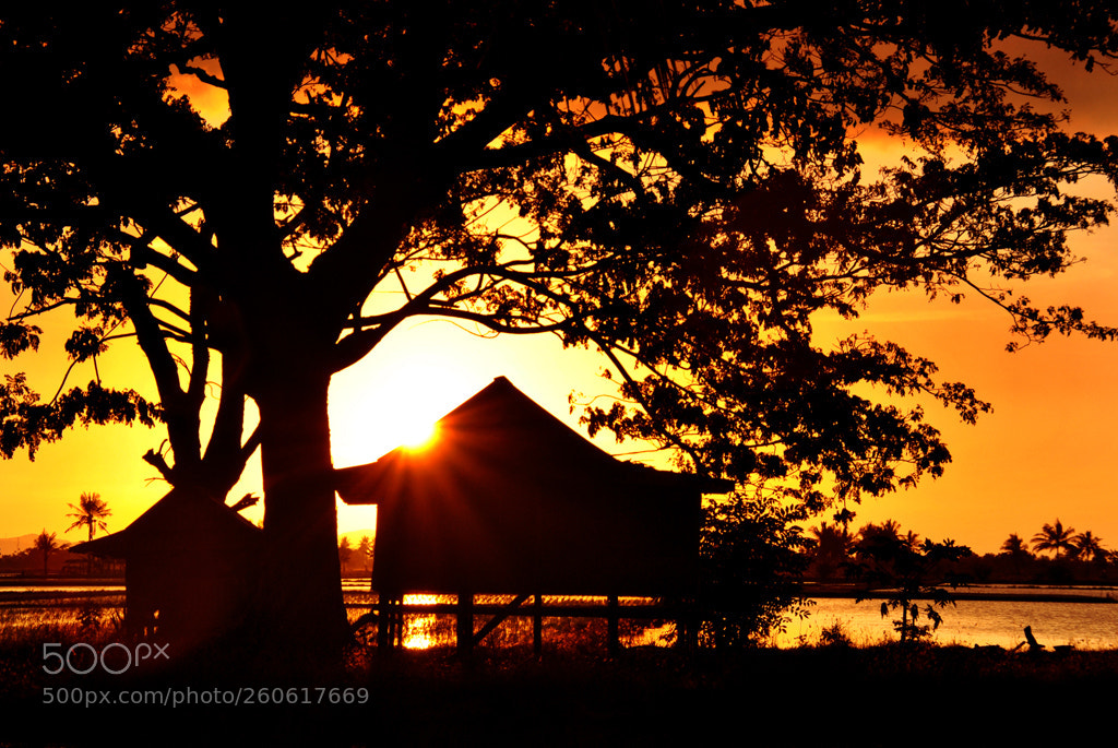 Nikon D3000 sample photo. Dusk behind the house photography