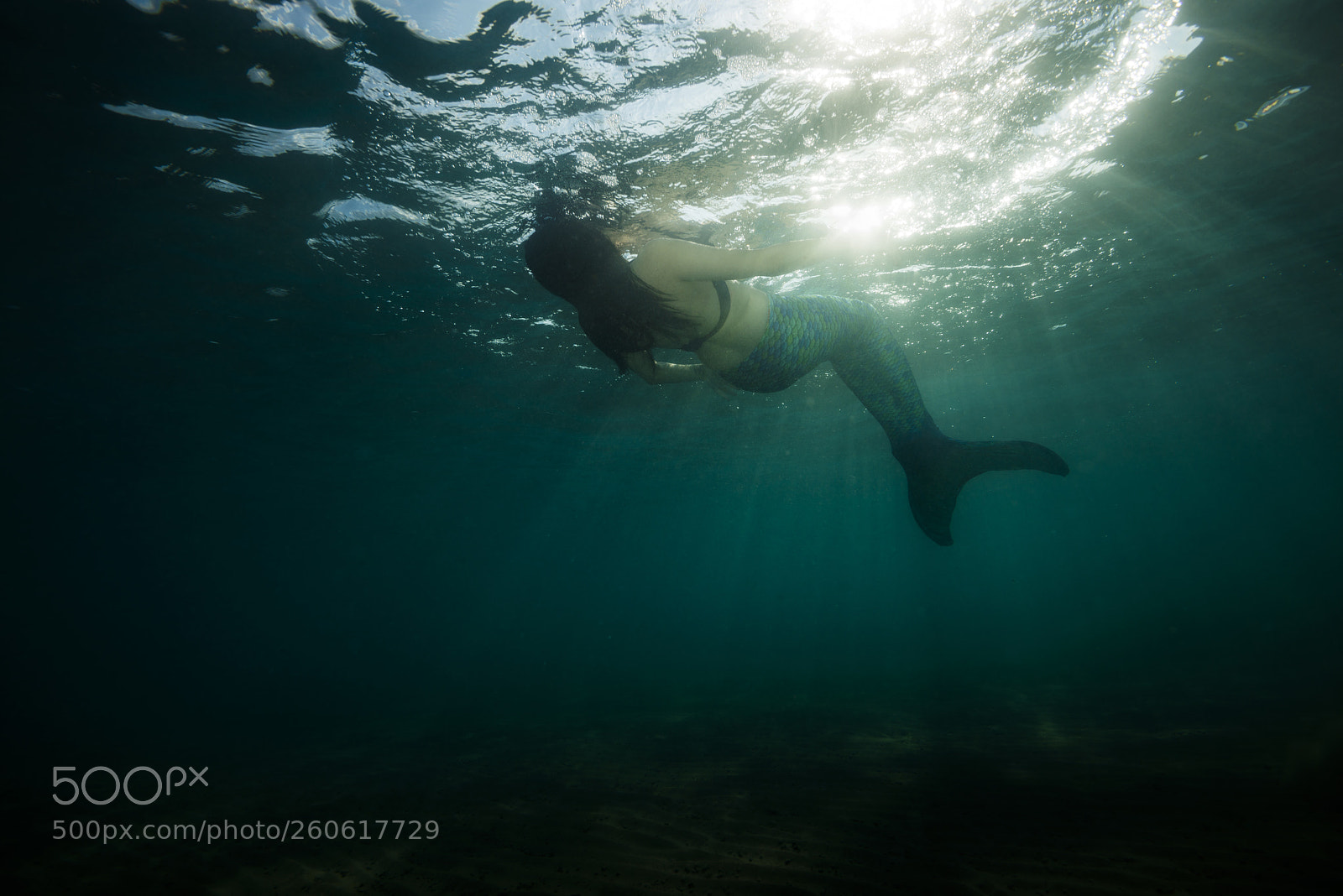 Nikon D800E sample photo. Mermaid in lights photography
