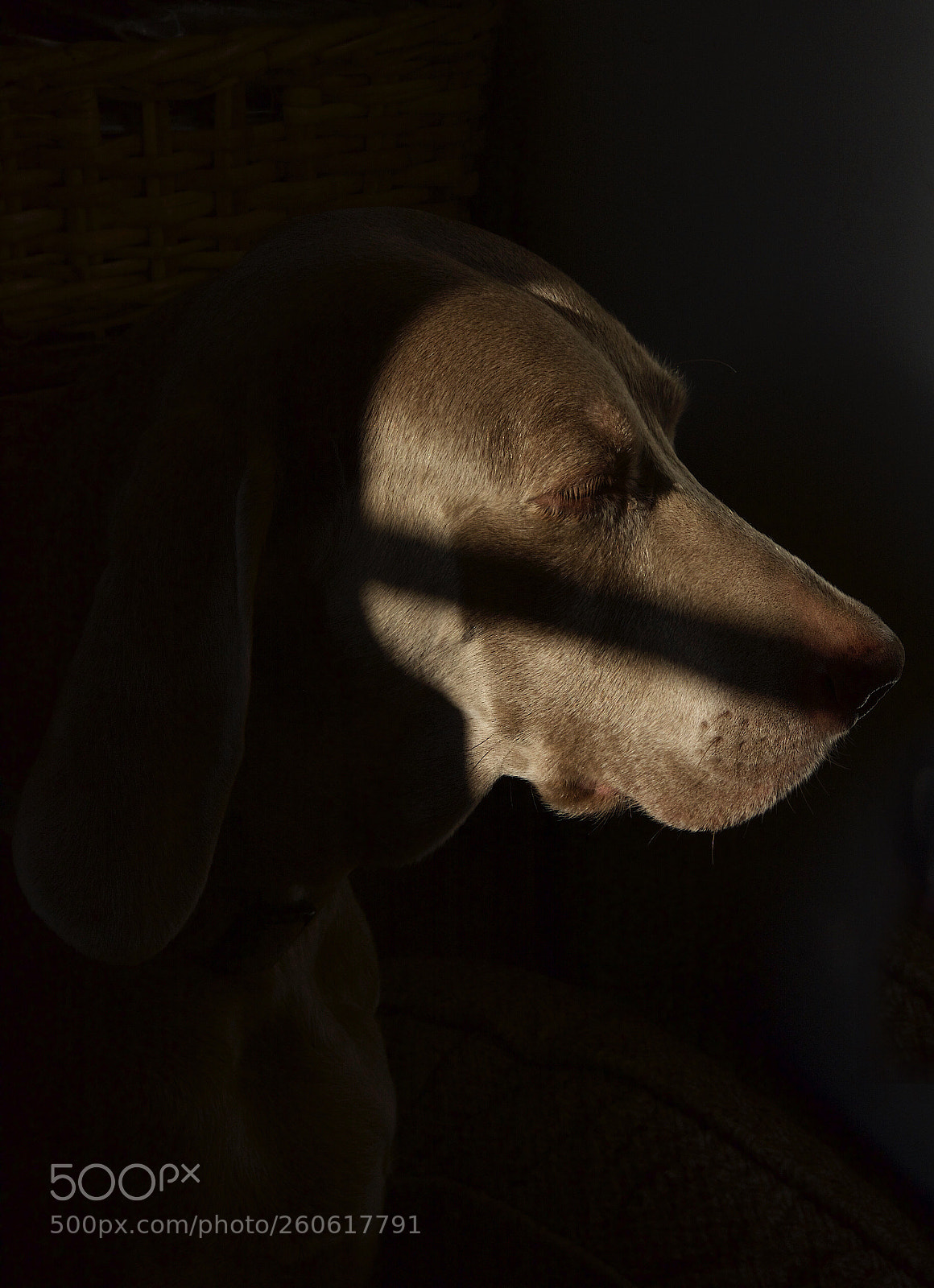 Nikon D7100 sample photo. Untitled photography