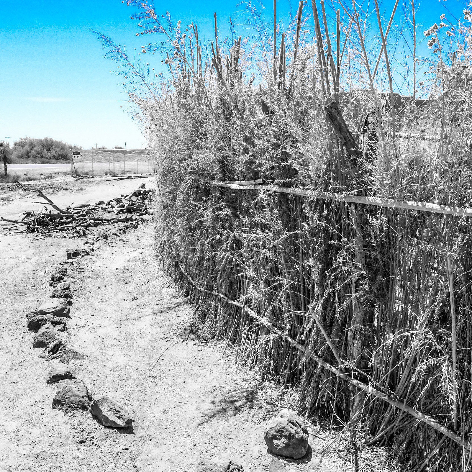 Fujifilm X-T1 sample photo. Sacred path to enlightenment photography