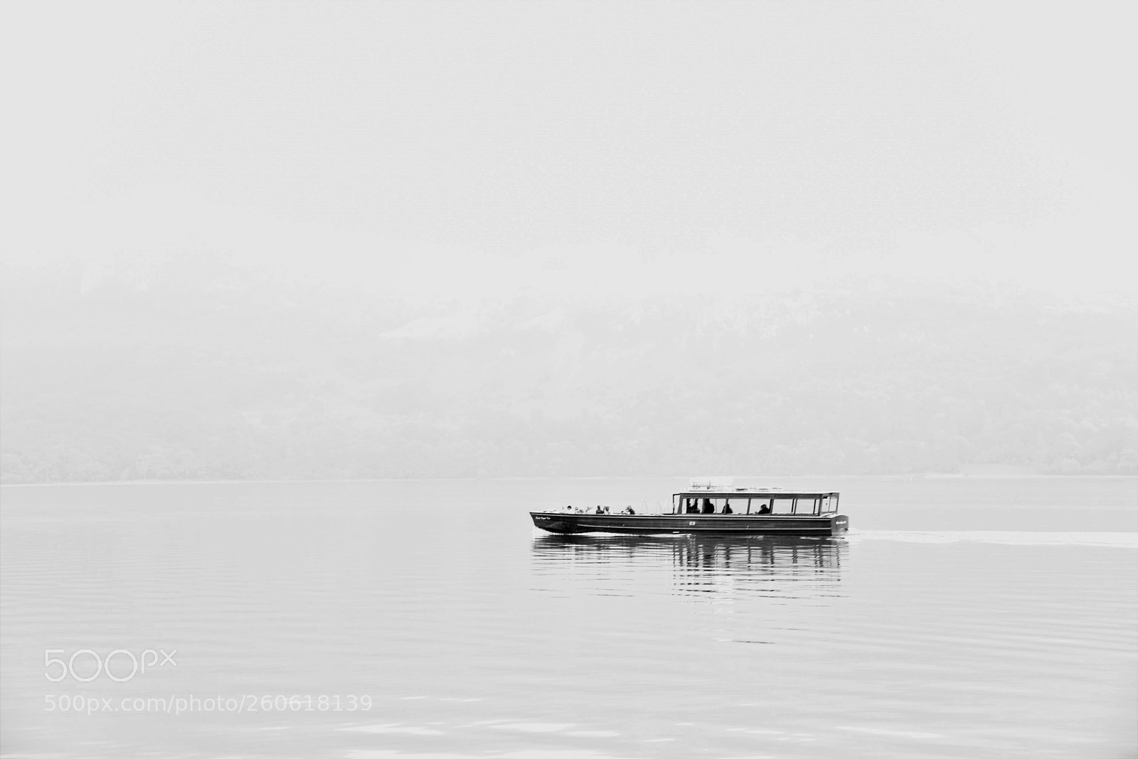 Nikon D750 sample photo. In mist photography