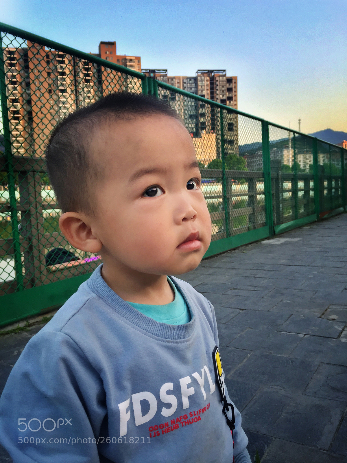 Apple iPhone 6 Plus sample photo. Untitled photography