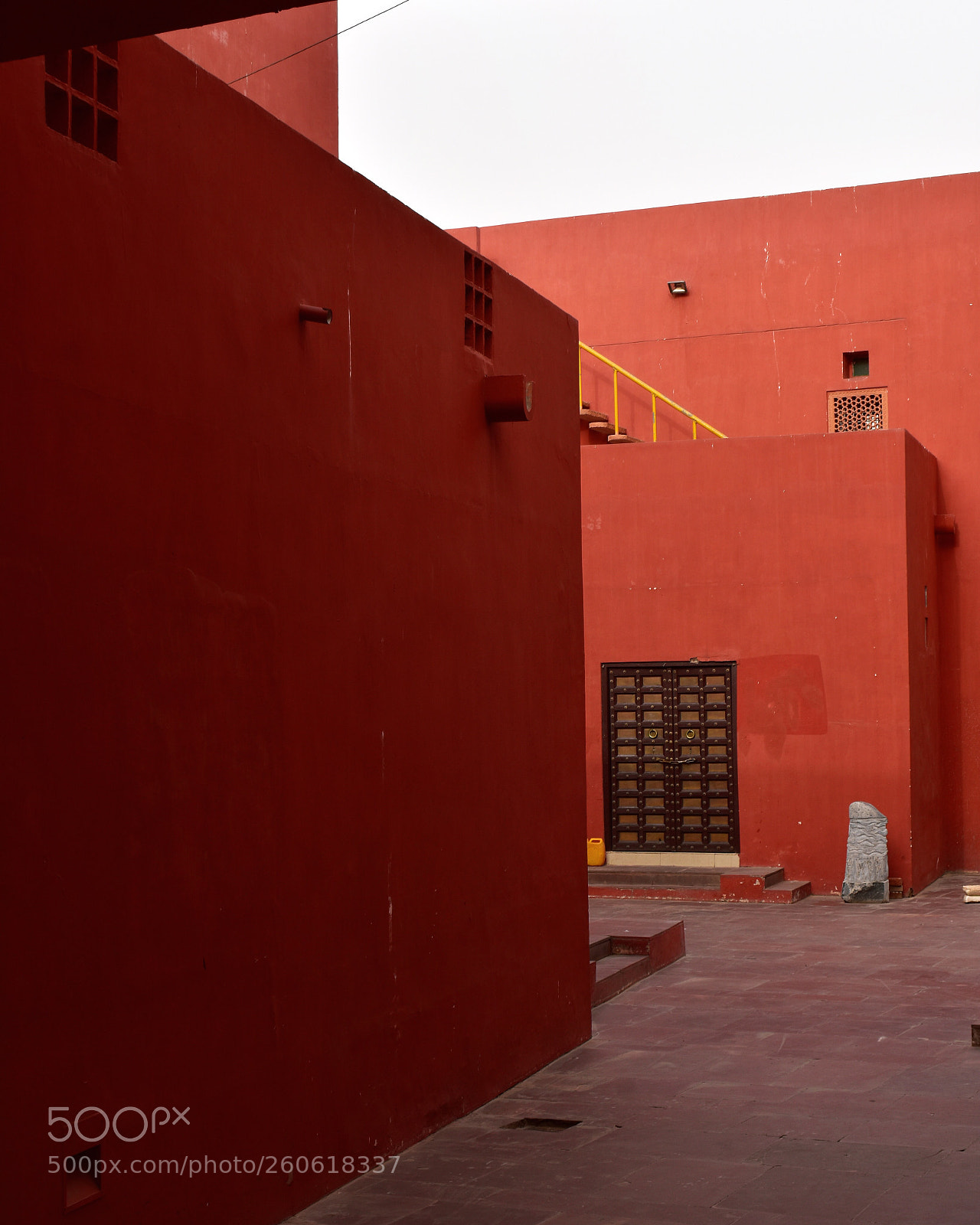 Nikon D3400 sample photo. Red in the pink photography