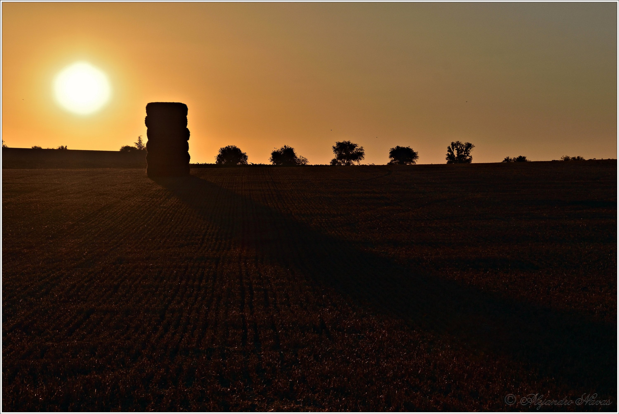 Nikon D7200 sample photo. Larga sombra photography