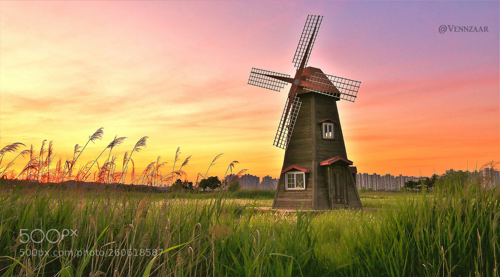 Canon EOS 6D sample photo. Sorae pogu photography