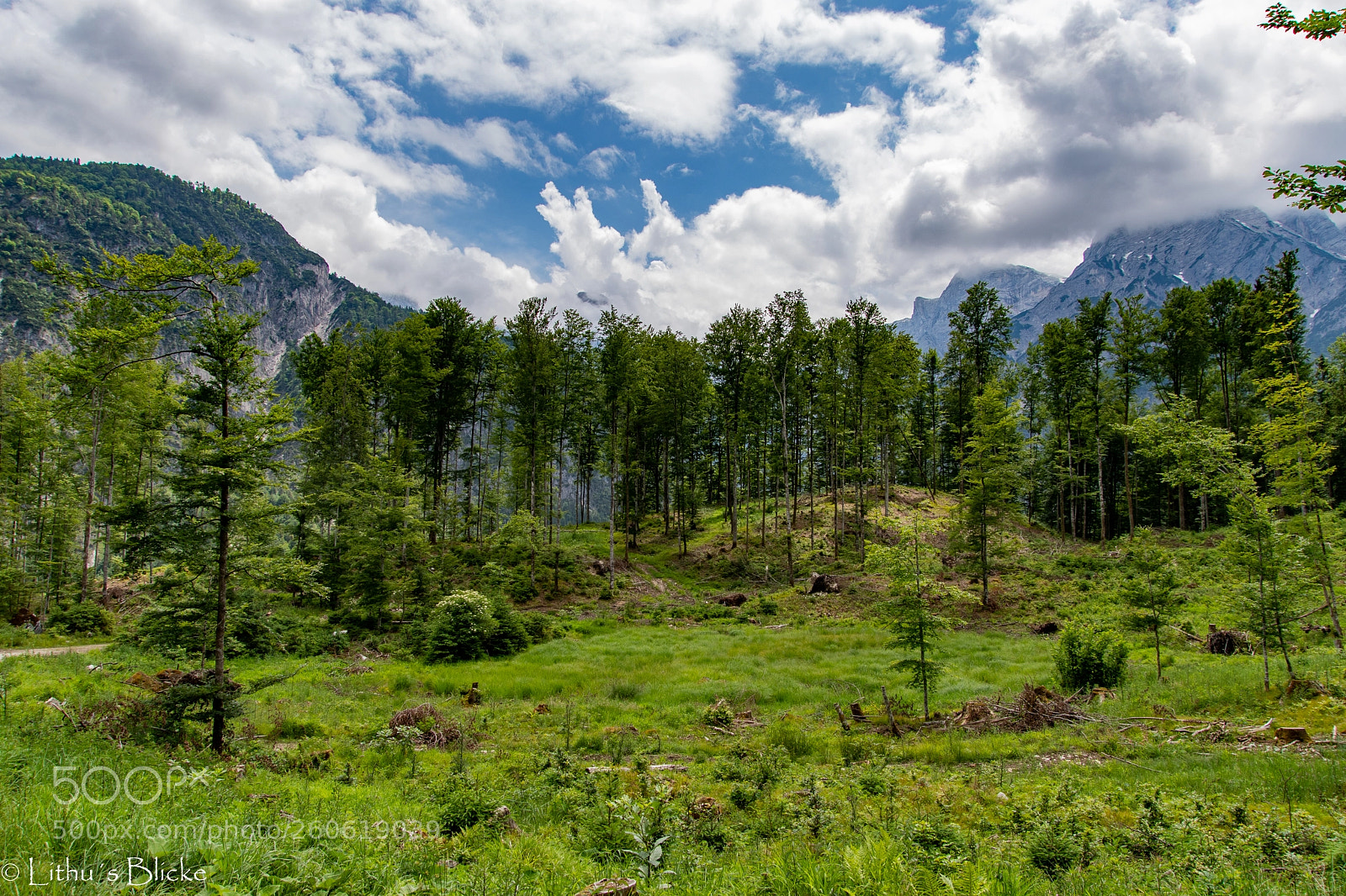 Nikon D7500 sample photo. Unsere natur ist immer photography