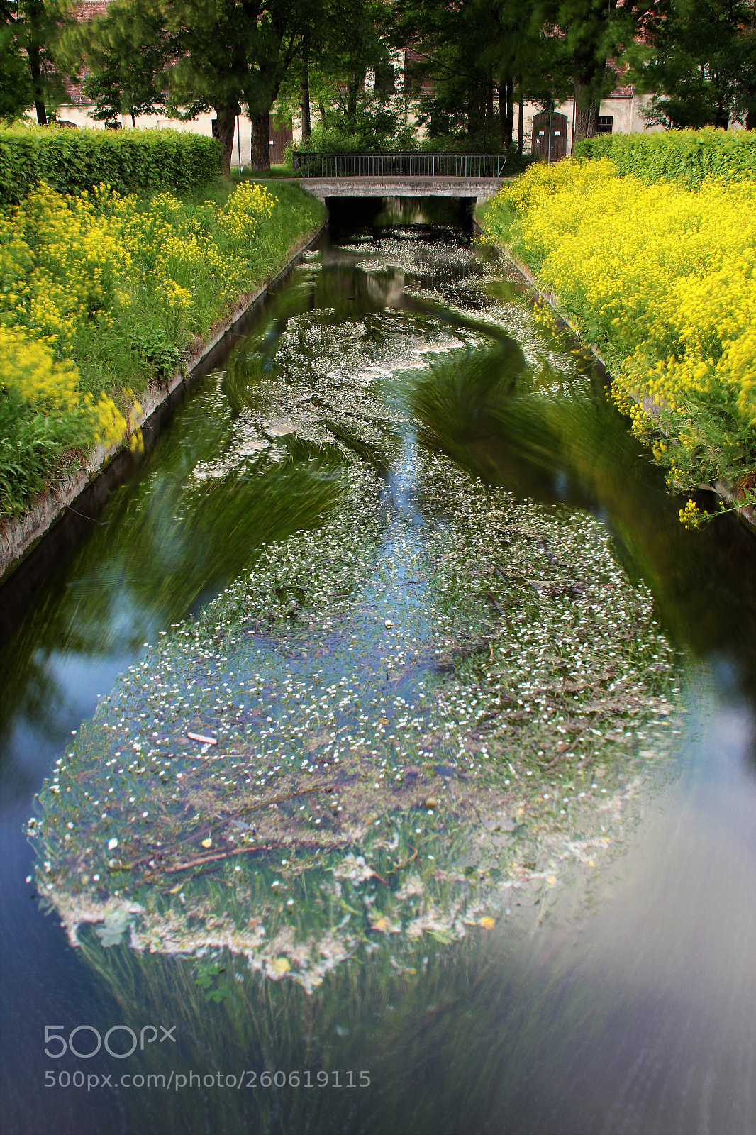 Canon EOS 600D (Rebel EOS T3i / EOS Kiss X5) sample photo. Seaweed photography