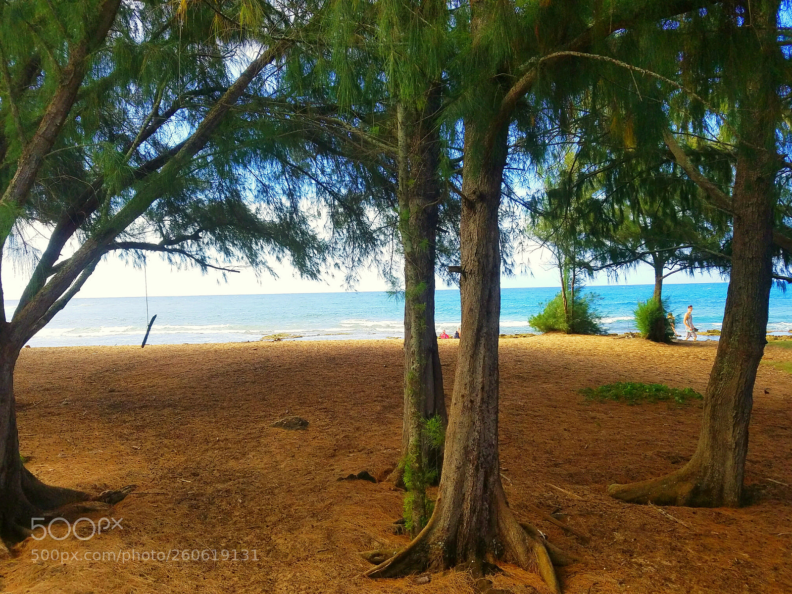Samsung Galaxy S7 Edge sample photo. Kauai hawaii beach photography