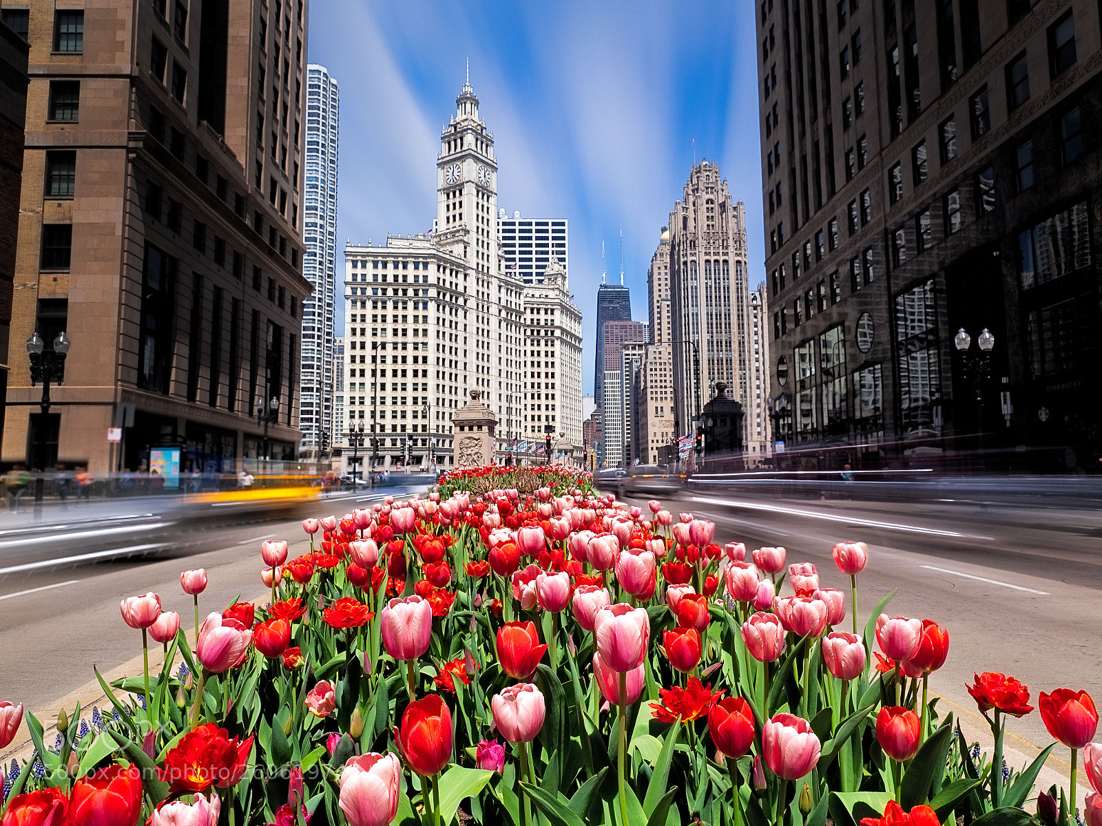 Olympus OM-D E-M1 Mark II sample photo. Spring in the city photography