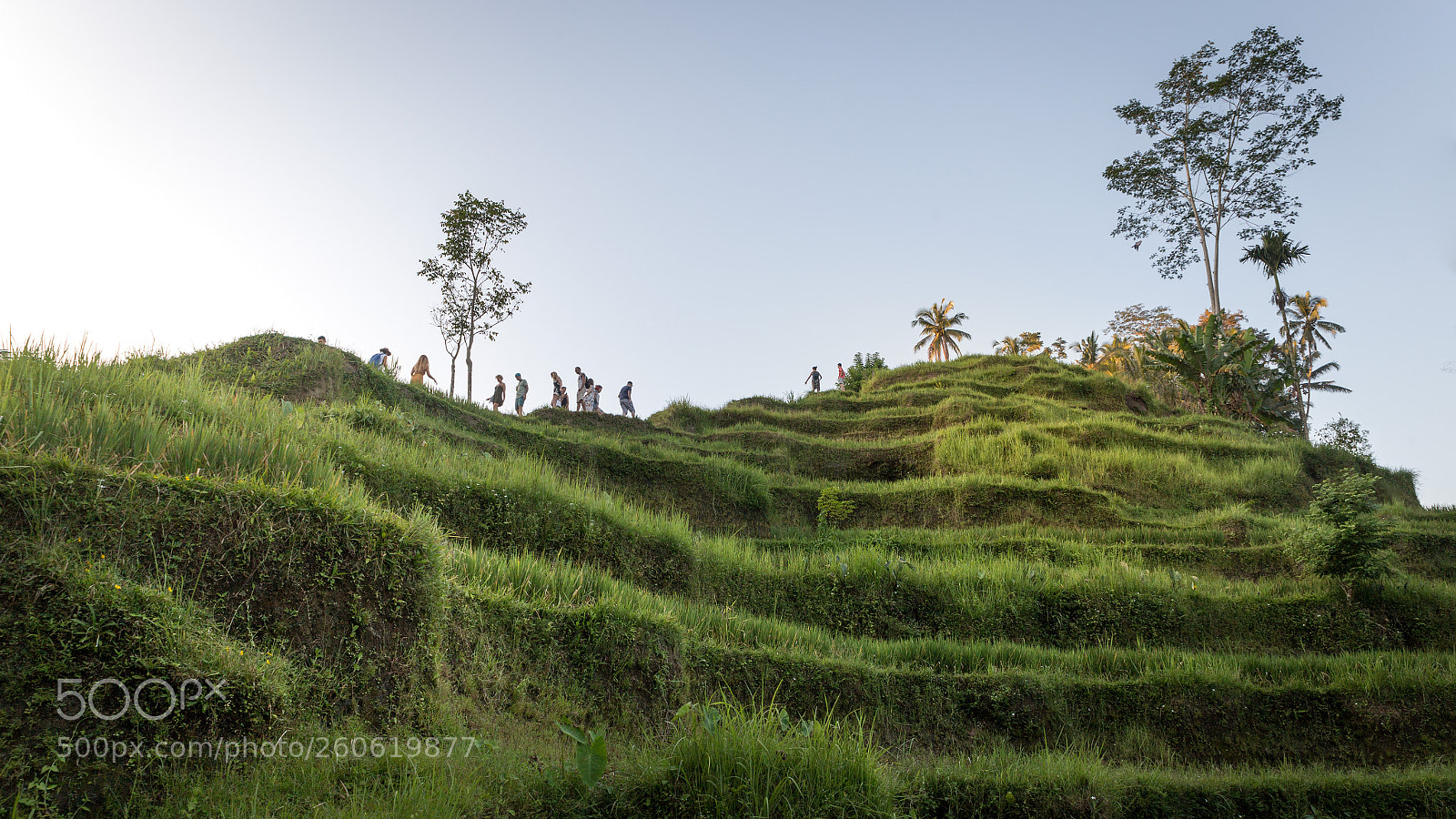 Canon EOS 6D sample photo. Walking on the edge photography