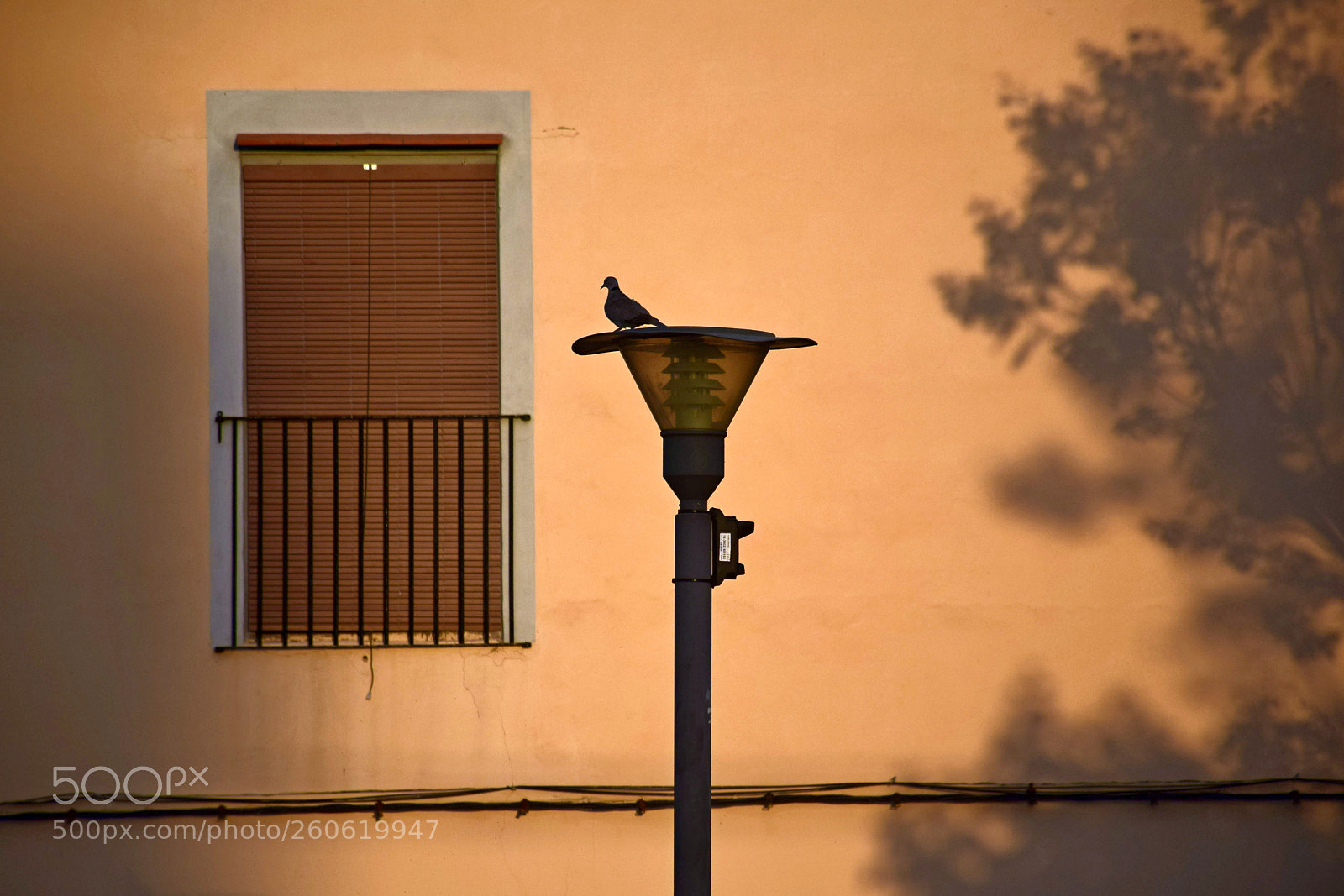 Nikon D5300 sample photo. Farola paloma photography