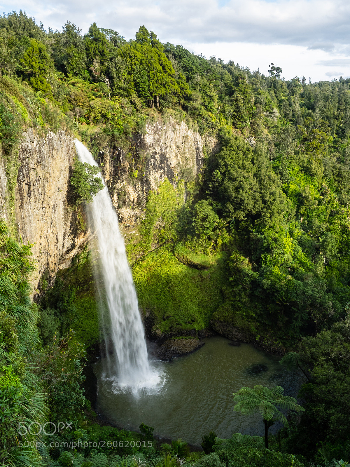 Olympus OM-D E-M1 sample photo. Bridal veil falls, waikato photography
