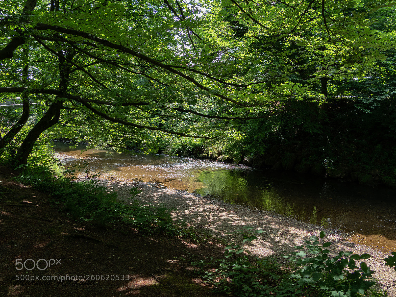 Panasonic Lumix DC-G9 sample photo. Fluss im kurpark photography