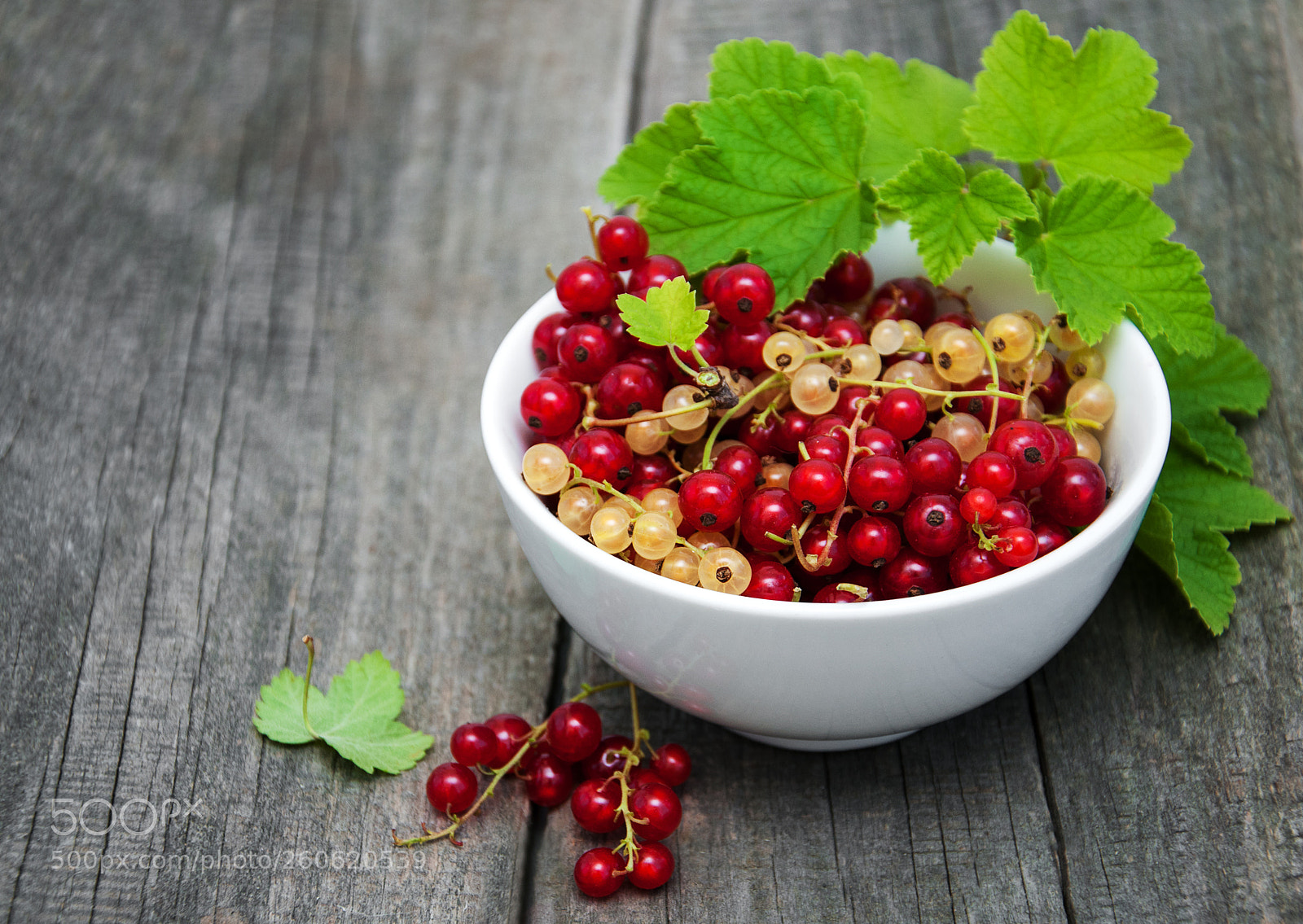 Nikon D90 sample photo. Bowl with red currant photography
