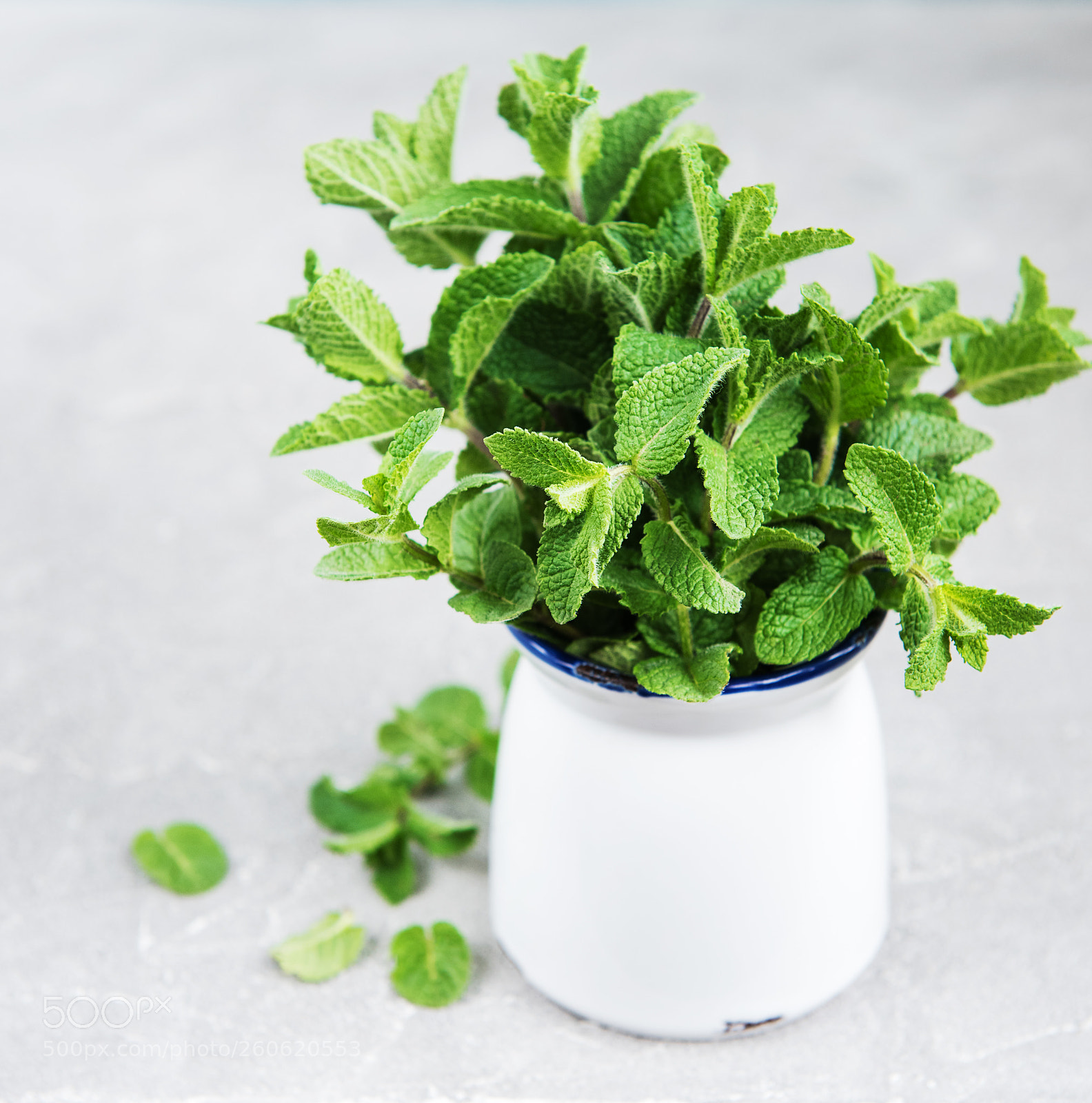 Nikon D750 sample photo. Fresh mint in a photography