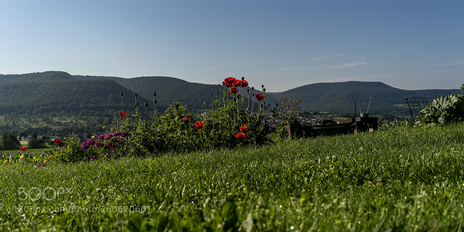 Sony a7R II sample photo. Eningen 030618-002 photography