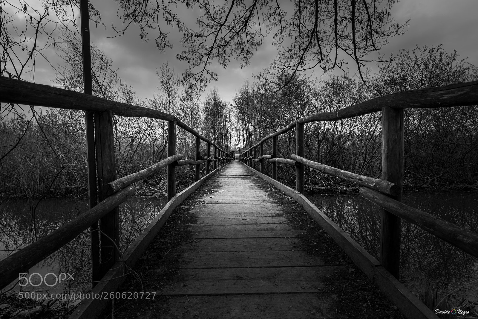 Nikon D7100 sample photo. Pontile photography