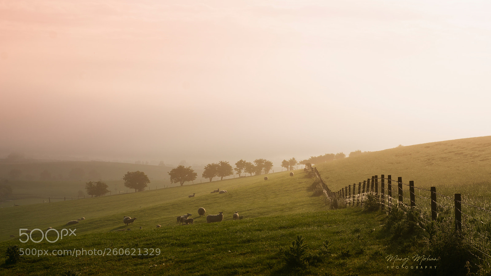 Sony ILCA-77M2 sample photo. Morning peace photography